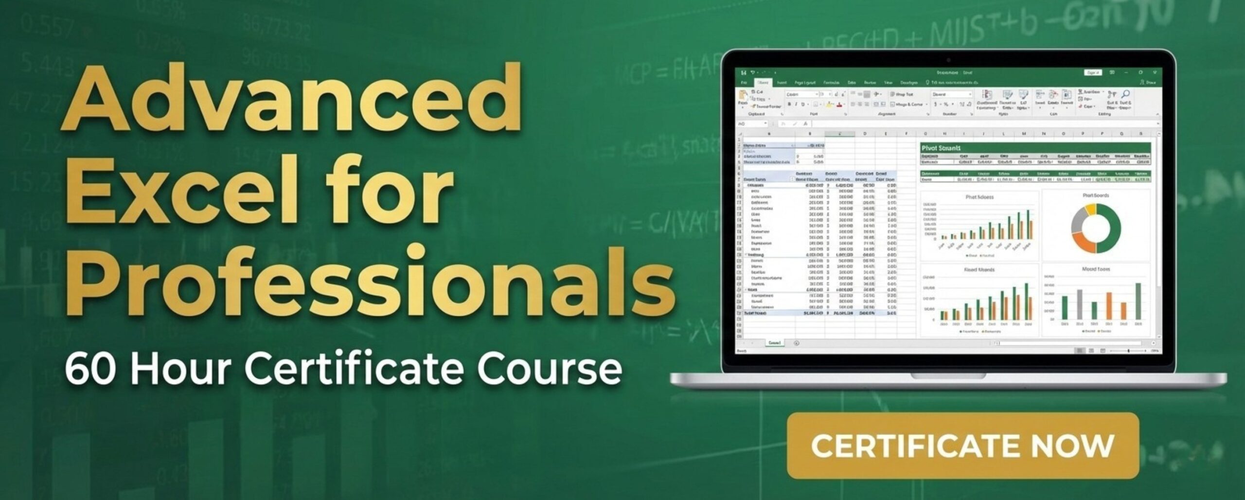 Advanced Excel 60 Hrs